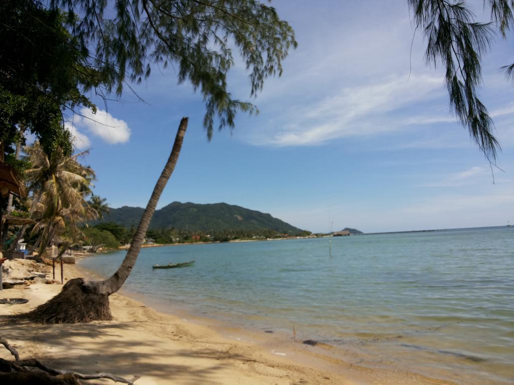 Abc Bungalow Baan Tai Dış mekan fotoğraf